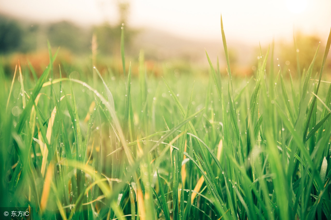 鐖辫繃鐤繃鐥涜繃鍝繃鐑﹁繃鎬掕繃鎭ㄨ繃,鐖辫繃鐤繃鐥涜繃鍝繃鐑﹁繃鎬掕繃