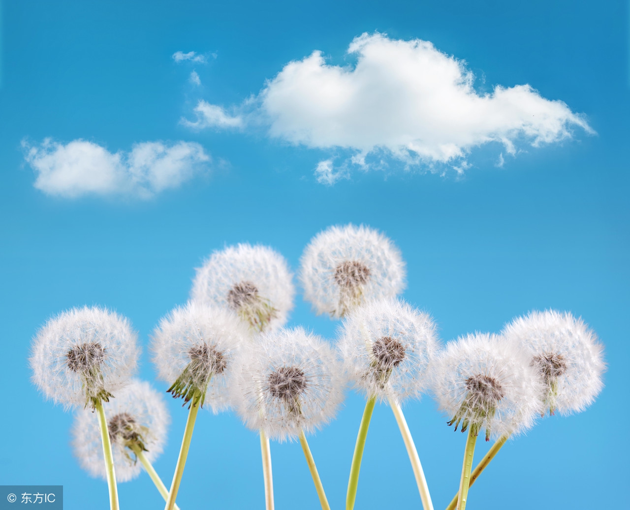 鐖辫繃鐤繃鐥涜繃鍝繃鐑﹁繃鎬掕繃,鐖辫繃鐤繃鐥涜繃鍝繃鐑﹁繃鎬掕繃鎭ㄨ繃