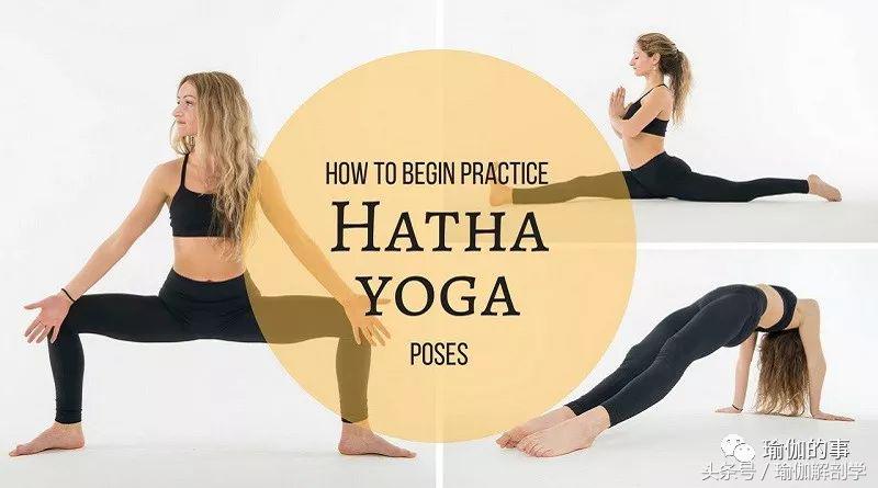 给大家整理一下基本瑜伽的流派,瑜伽小白应该选择什么瑜伽派系