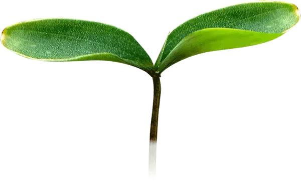 带孩子去香港打疫苗攻略,2018去香港打疫苗全攻略费用