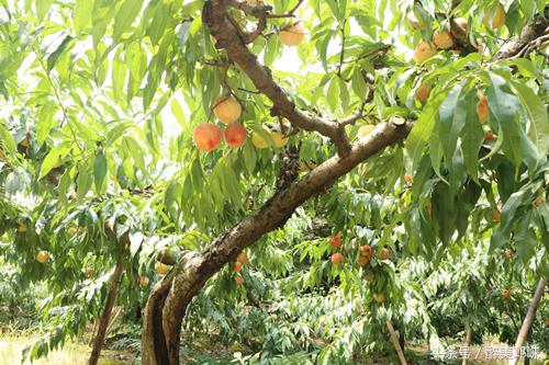 新时代的奋斗者视频,新时代的奋斗者