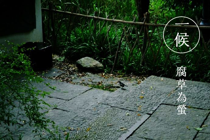 几代人的徐州记忆：三环路上数过车，体育场里踢过球，在云龙公园荡起双桨……