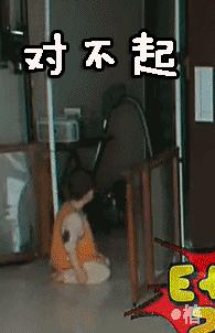 怎么预防荷兰猪囊肿复发,荷兰猪的囊肿怎么在家自行处理