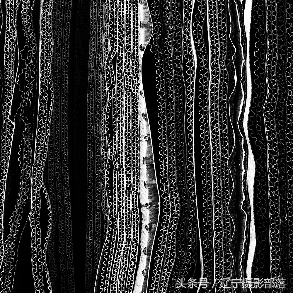 2020年ipa摄影奖获奖作品,ippa摄影大赛获奖作品2010