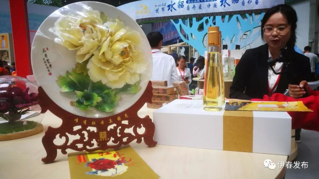 聚焦｜七月“森博”热林城