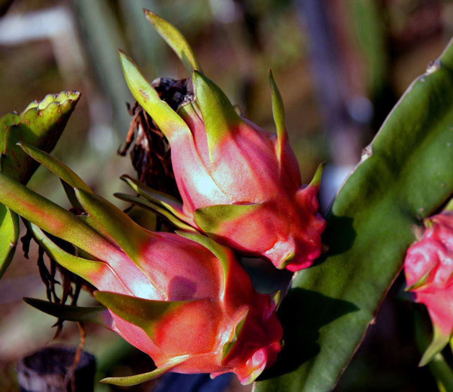 天台漂流攻略,天台漂流