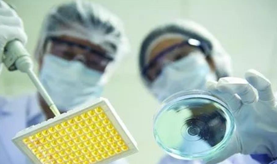 格列卫为什么如此厉害,格列卫为什么这么强