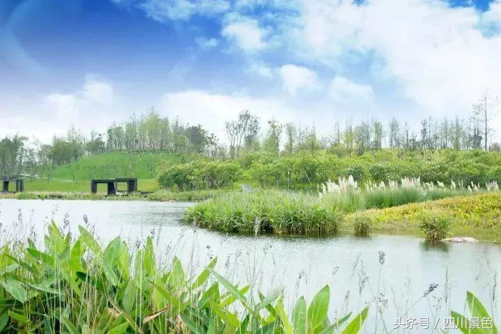 小众又免费！成都地铁直达的天然氧吧！清凉洗肺又解暑！