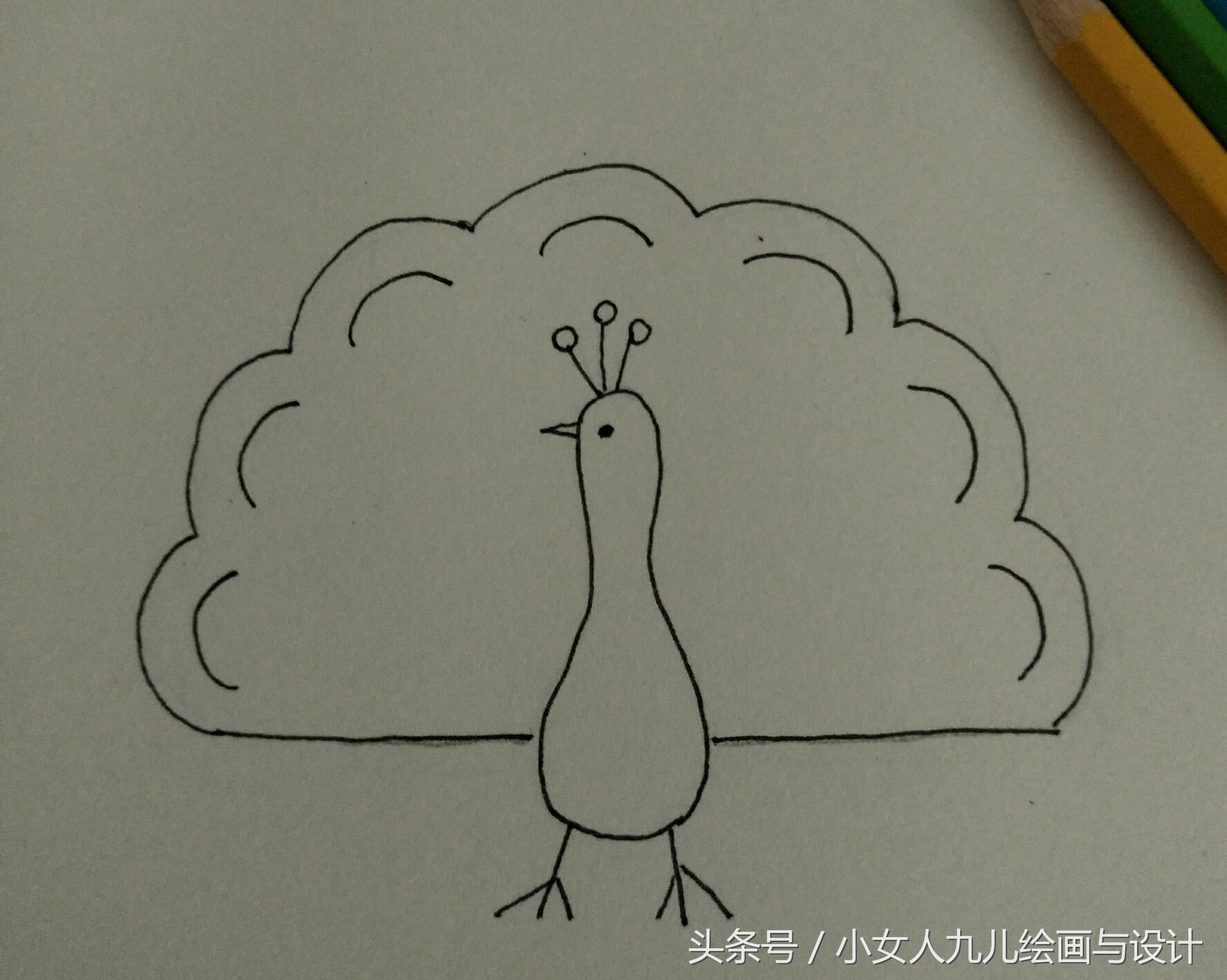 如何用手画孔雀简笔画,简笔画孔雀十二种画法