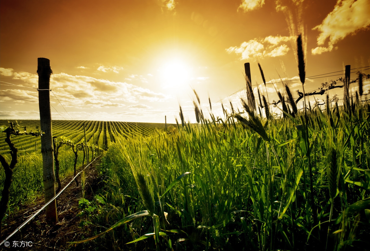 当代年轻人孝顺,现在的年轻人有多孝顺父母