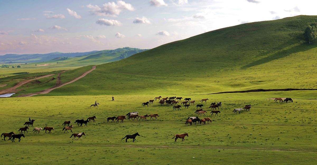 又双叒叕屮艸芔茻读音,你知道学字的真正含义吗