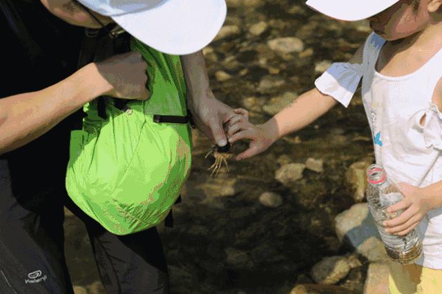 宜昌青龙峡第四届亲子漂流大赛实况回顾！你错过的精彩都在这里！