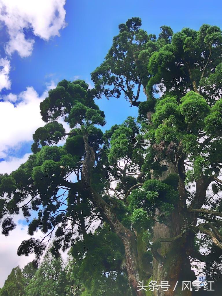 福州避暑网红景点前十名,福州夏天周边游景点推荐最新