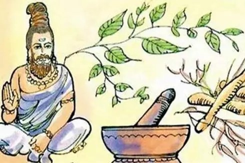 精油为什么有疗愈作用,精油为什么可以疗愈