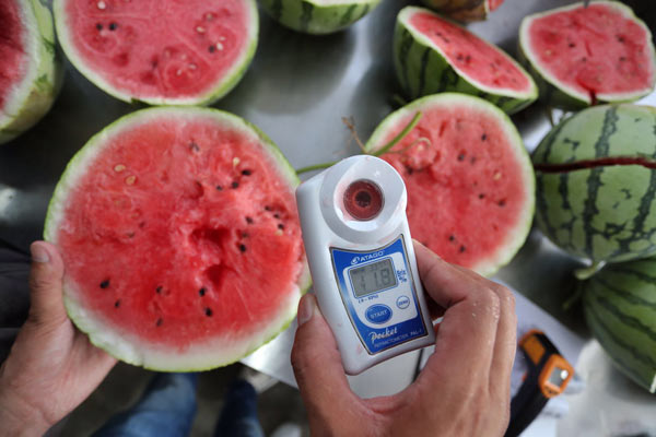 大兴“8424”充斥市场怎么办?点点手机就可以买到官方认证的