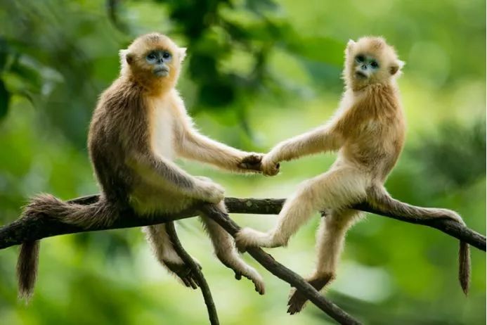 美到极致的自然风光摄影师大赛,自然之美第7集