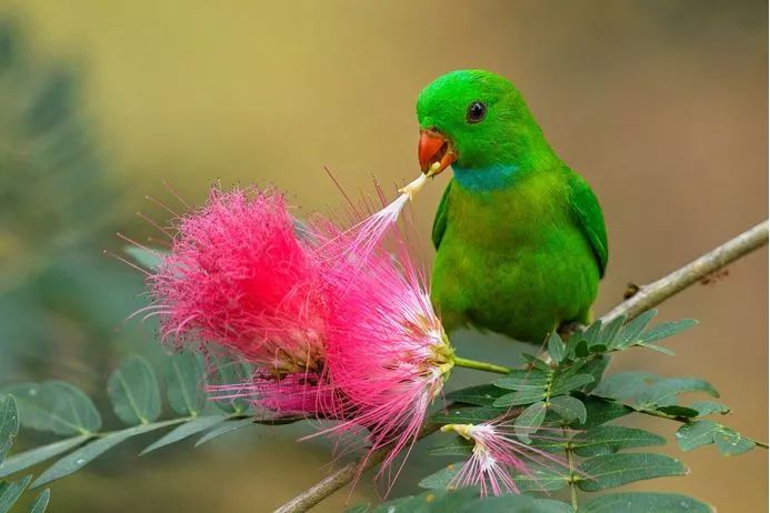 美到极致的自然风光摄影师大赛,自然之美第7集