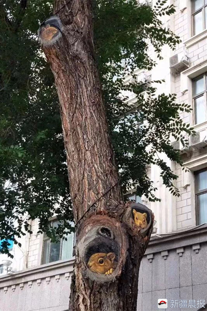 布尔津童话边城民宿,布尔津童话边城酒店