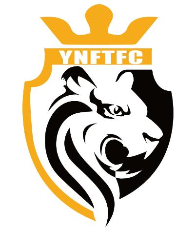 2018中乙俱乐部队徽,2024中乙球队队徽