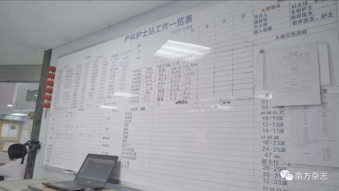 拆弹女专家视频,拆弹专家给猪绝育