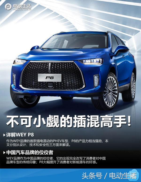 不可小觑的对手战斗机实力科普,weyp8混合动力怎么样