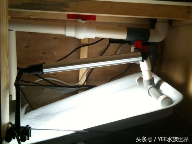 鱼缸不换水能加一点点高锰酸钾吗,鱼缸不换水杀菌