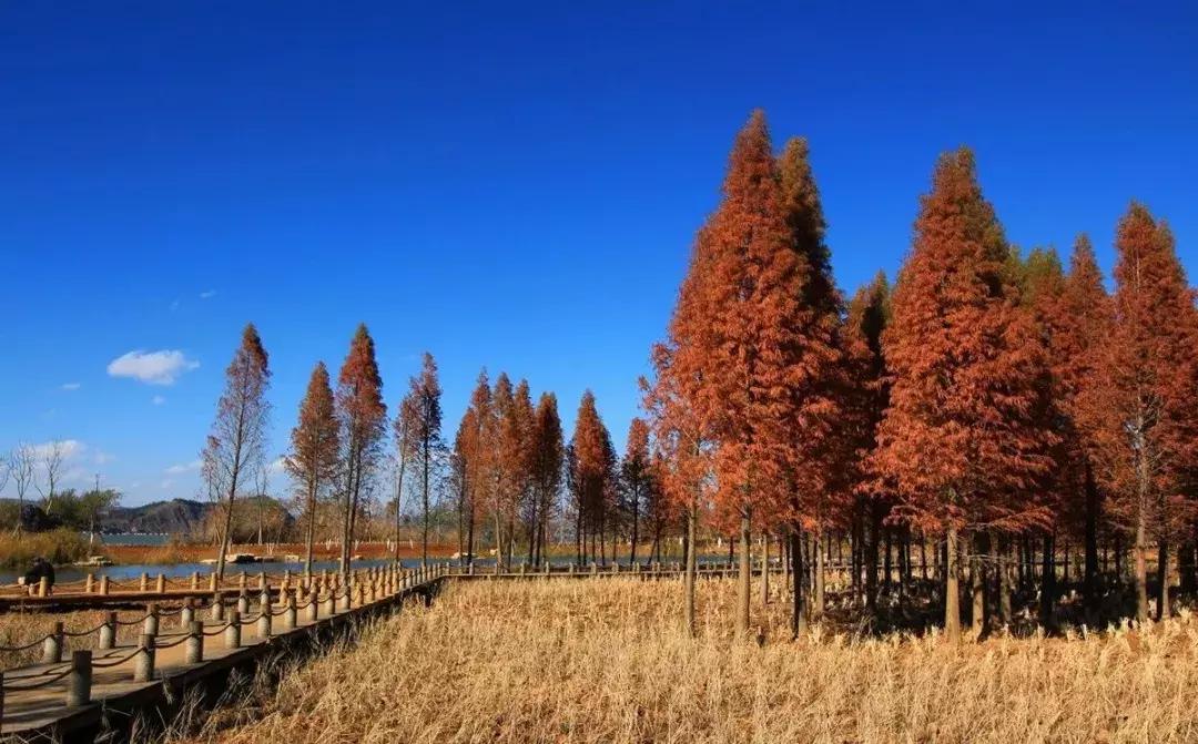 前三季度昆明各区县gdp,昆明各区县gdp