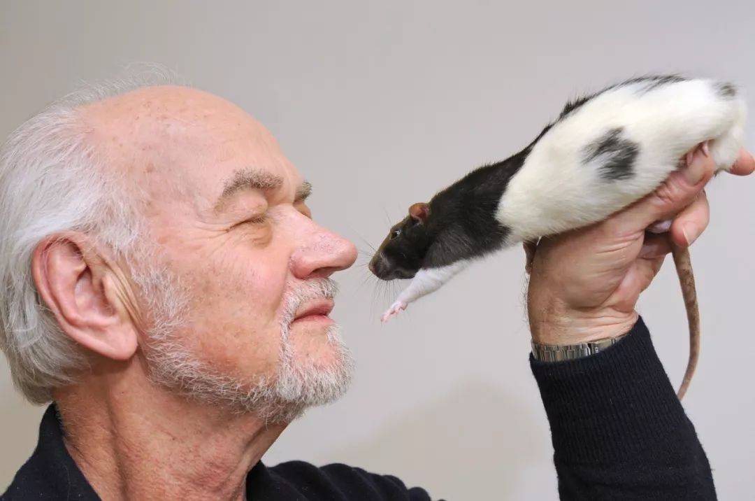 动物能感知人类心情吗,动物能感到开心吗