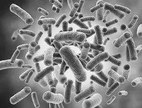 当心！苏州孕妇吃冰镇小龙虾遭感染，紧急剖宫！