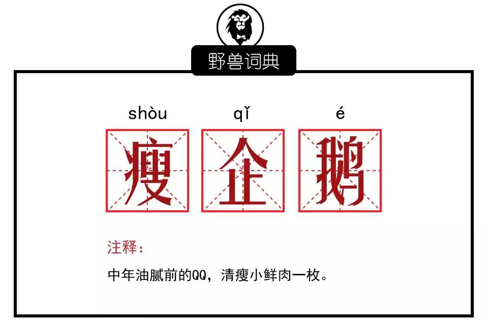 连*片毛**都看不了的90年代，怎么在网络装逼？