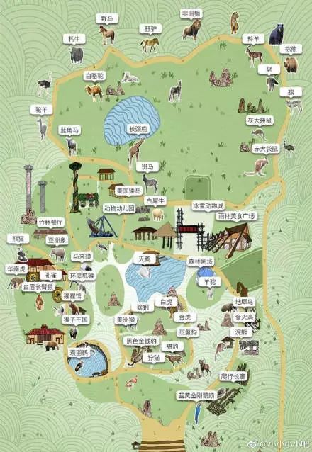 福清野生动物园游览车,福清野生动物园攻略