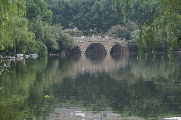来上海旅游有什么体验感好的项目,去上海玩的体验