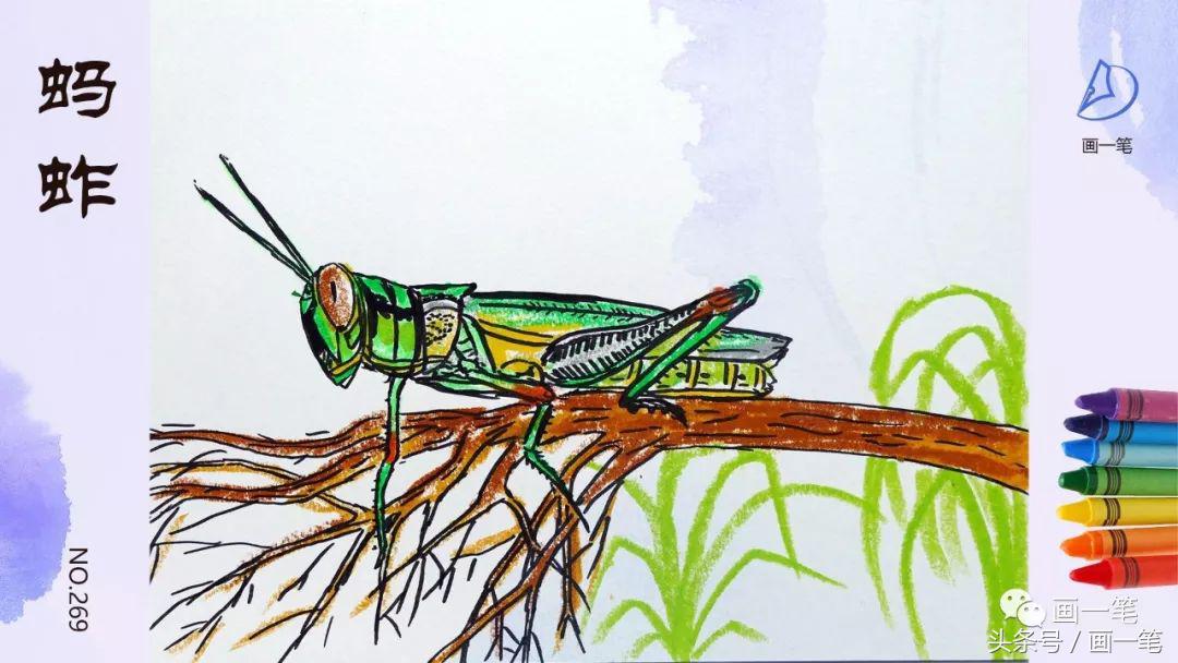 蛇画画儿童画,蜡笔画小蛇图片大全