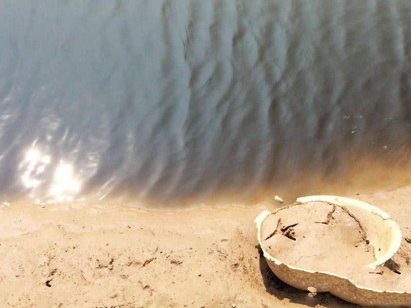 槌￠奔鍜岃崏楸煎摢涓姏姘斿ぇ,鑽夐奔璺熼场楸煎摢涓姏姘斿ぇ