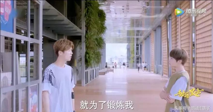 鹿哥鹿嫂最新消息,鹿哥鹿嫂离婚原因