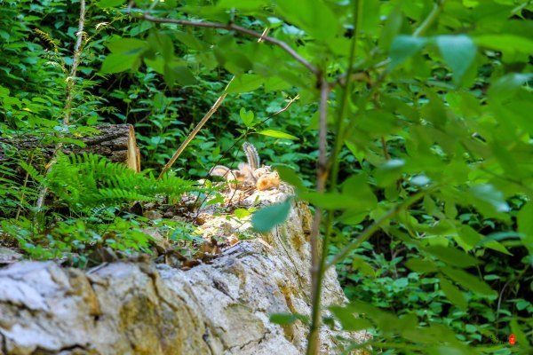 涓囧瓧鏀荤暐,涓囧瓧瑙ｆ瀽鏀荤暐