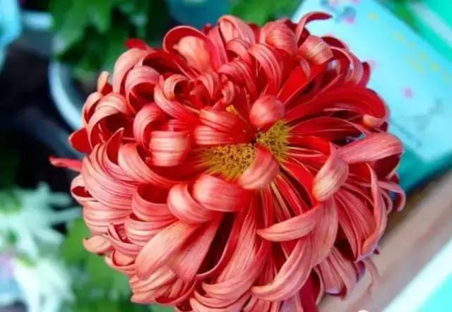 今天是7月26日，千载难逢的要顺日，吉利的祝福送给你，越快打开越好