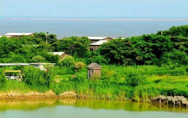 离北京最近的海岛旅游,马尔代夫的蓝天绿树水清沙白