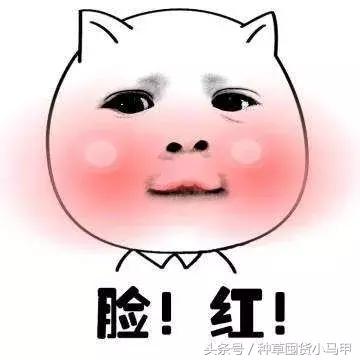 比nars便宜一半的粉底液,比nars还便宜的化妆品牌