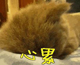 十大最坑爹护肤谣言视频,别再让这些谣言满天飞了