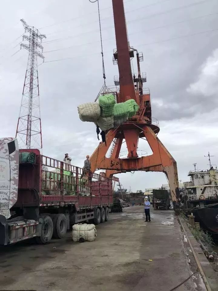 恶心！你淘来的衣服可能暗藏各种……数百吨韩国人扔掉的旧衣服被截