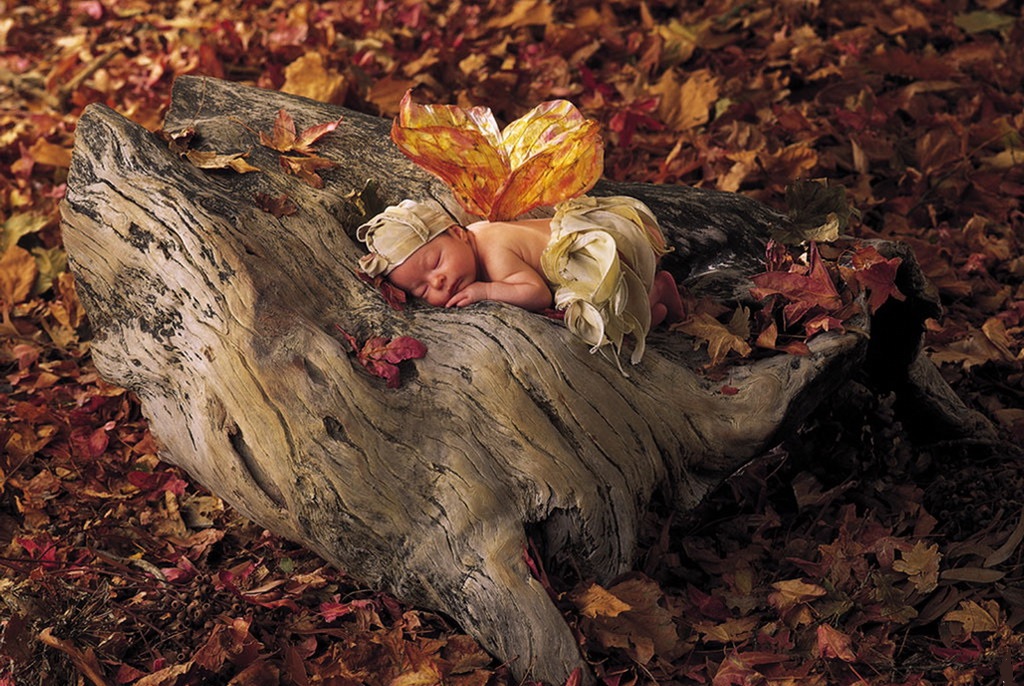 婴幼儿营养方面育儿知识,婴幼儿的保健与护理