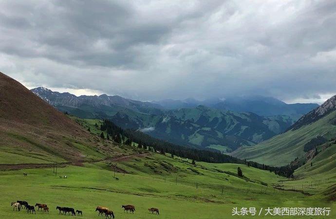 被旅游大军夸赞的高速,新疆最美公路有必要去么