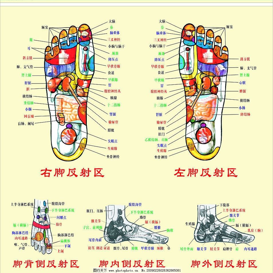 中医判断足部健康,一叶知秋窥一斑而知全貌