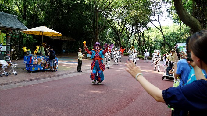 带小孩去长隆欢乐世界畅玩一天,暑假带娃去广州长隆野生动物世界