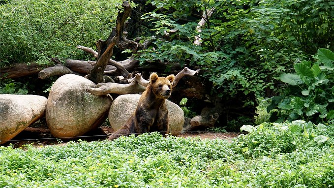 带小孩去长隆欢乐世界畅玩一天,暑假带娃去广州长隆野生动物世界