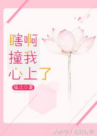 鱼妹书单娱乐圈完结文,鱼妹书单2018