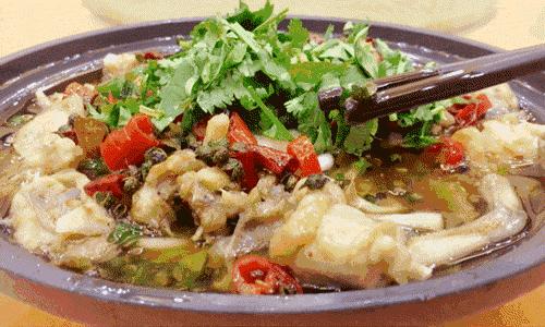 该不该去上海读大学,千万不要来香港读研