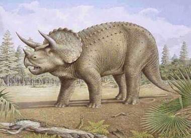 你认识的恐龙有哪些,怎样认识恐龙的种类