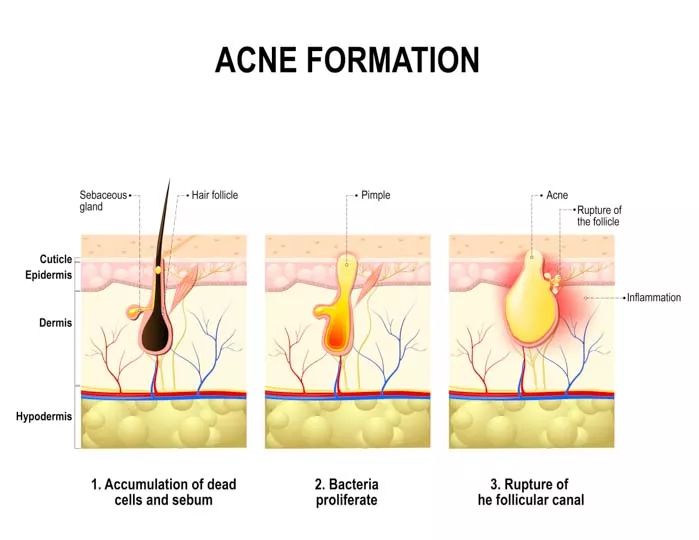 学生党必用的护肤品和彩妆 (好用的彩妆护肤产品良心推荐女生)